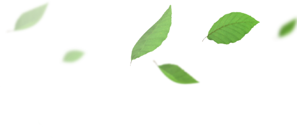 Зеленые листья летят