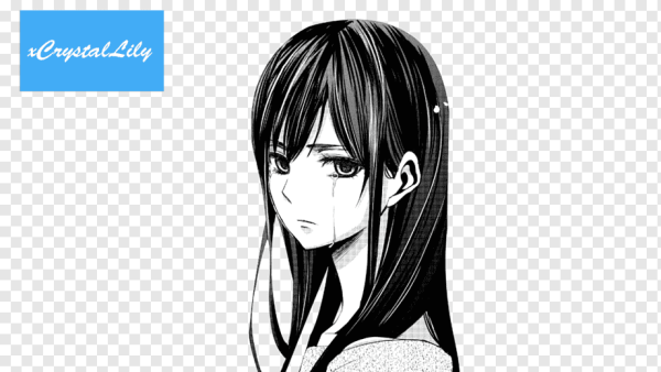 Манга цитрус Мэй