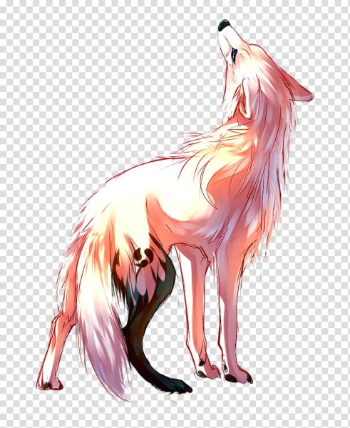 Волк арт без фона