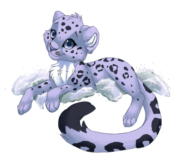 Снежный Барс и леопард