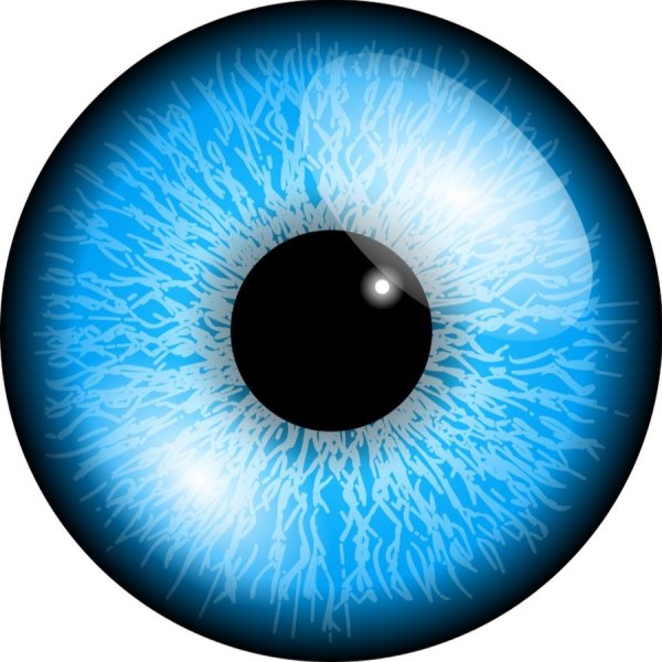 Зрачок глаза