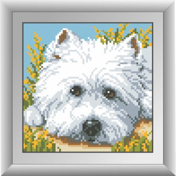 Вышивка крестом Вест хайленд Вайт терьер