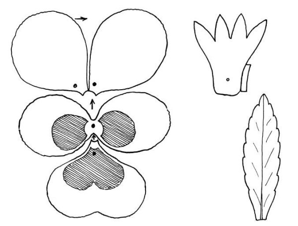 Трафарет "цветы"