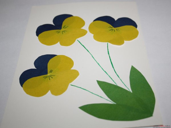 Аппликация цветы в средней группе