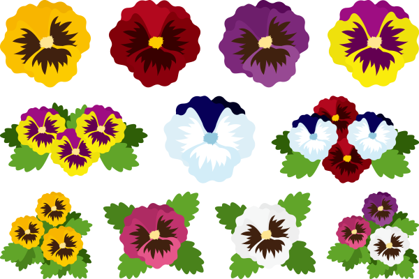 Лепестки анютиных глазок