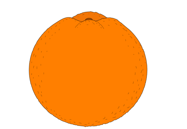 Апельсин рисунок