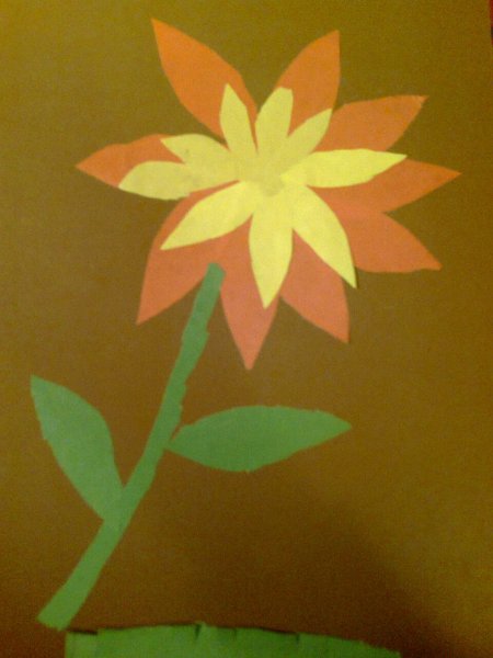 Аппликация Астра