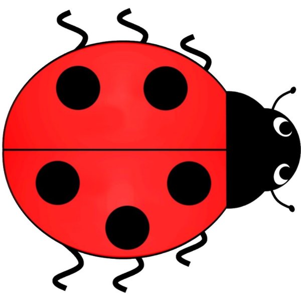 Божья коровка ка для детей