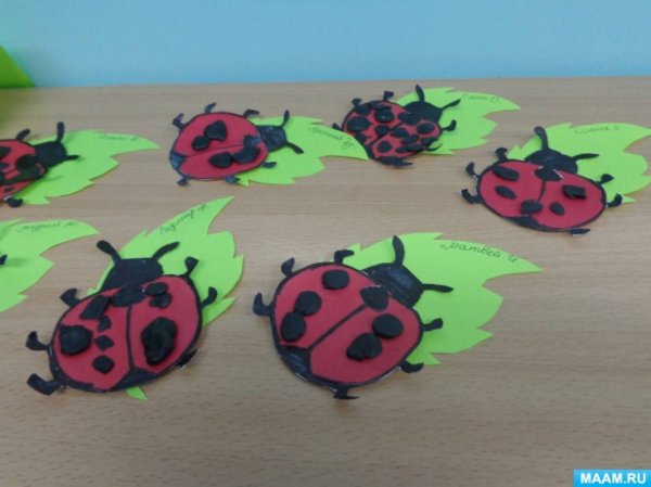Аппликация по теме насекомые в младшей группе