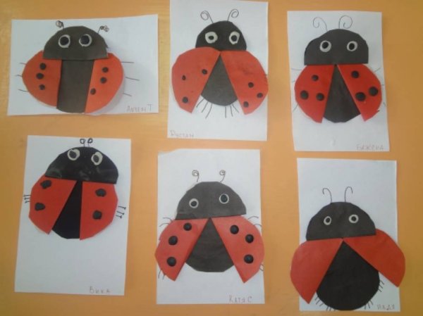 Аппликация Божья коровка в средней группе