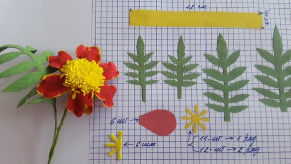 Бархатцы из фоамирана