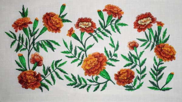 Риолис бархатцы