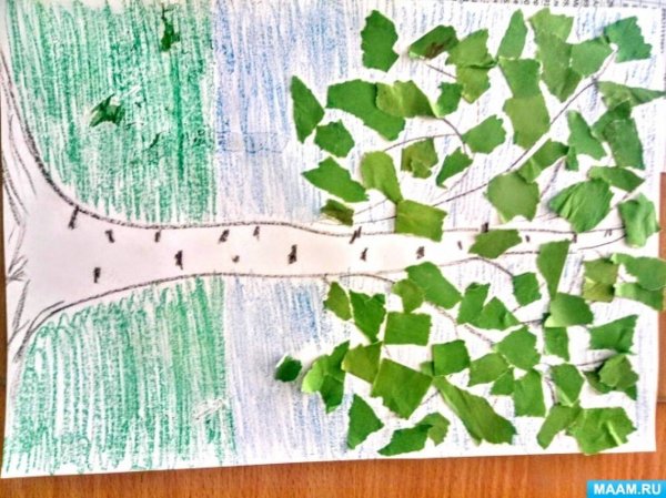 Обрывная аппликация береза средняя группа