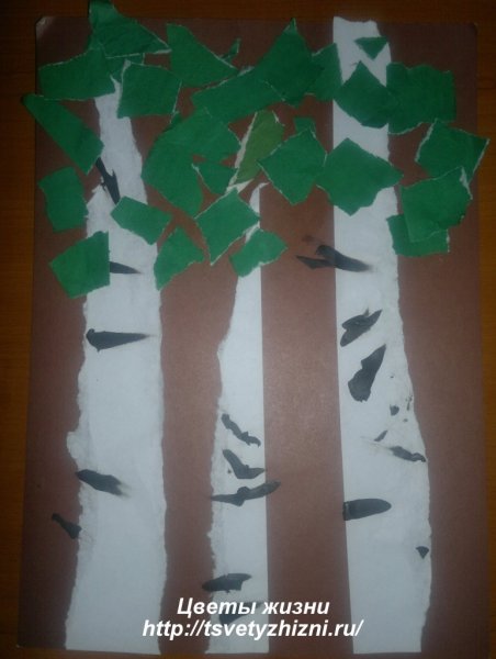 Аппликация береза в старшей группе