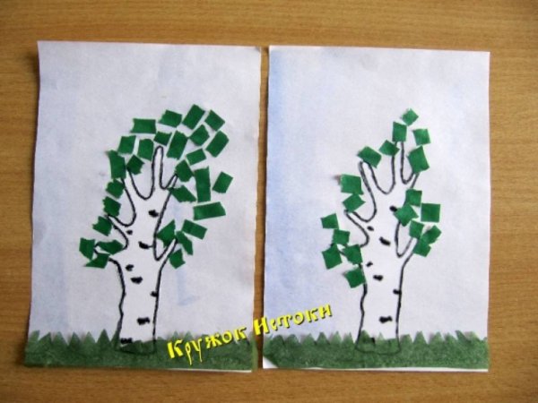 Аппликация береза в старшей группе