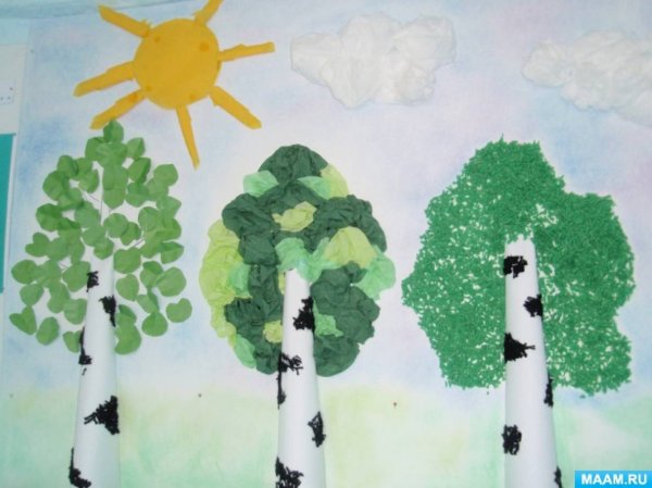 Аппликация Березка старшая группа