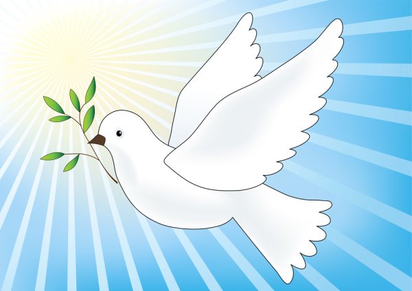 Голубь мира