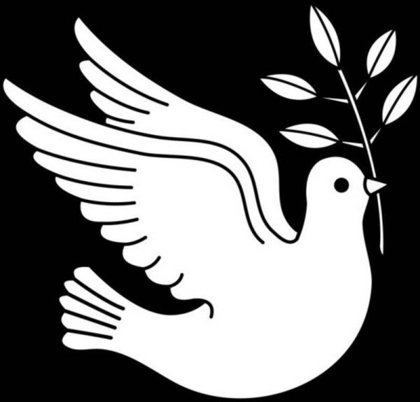Голубь мира шаблон
