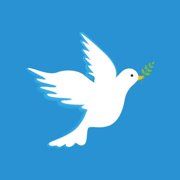 Белый голубь в небе с веточкой