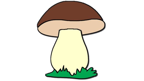 Гриб Боровик рисунок