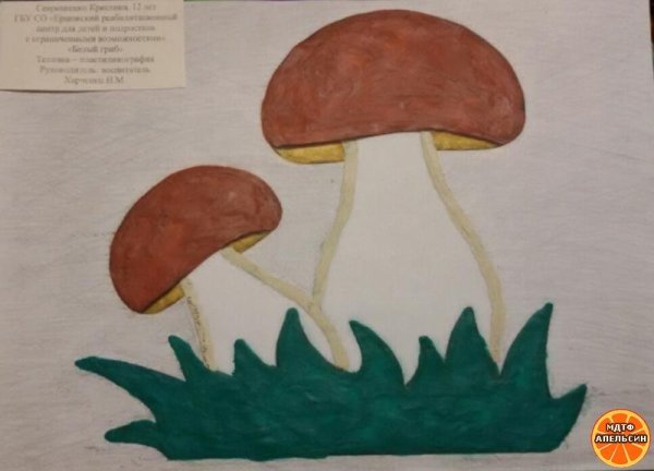 Гриб Боровик пластилинографика