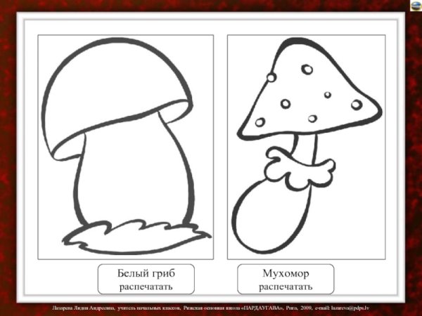 Аппликация грибы