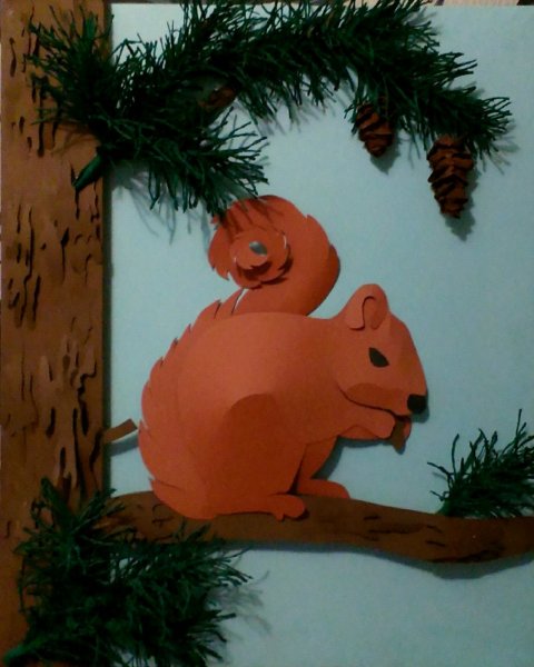 Аппликация белка