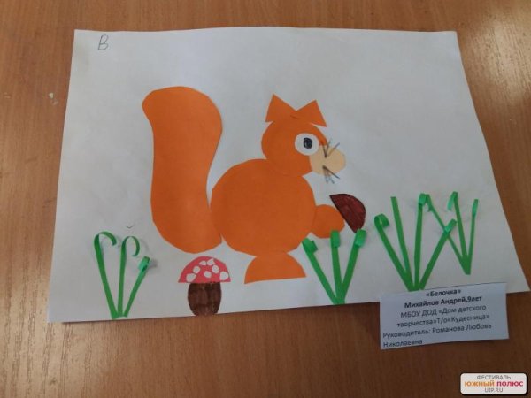 Аппликация белка Колдина старшая группа