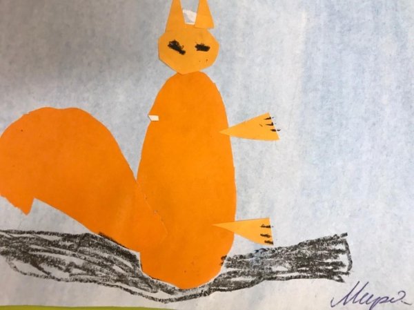 Аппликация белка в старшей группе