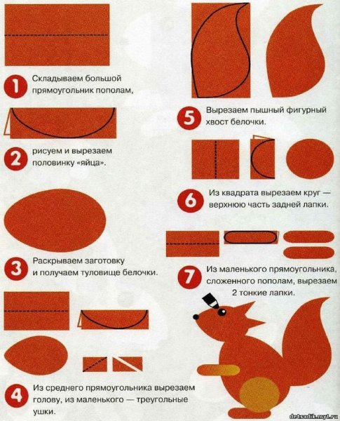 Аппликация белка Колдина старшая группа