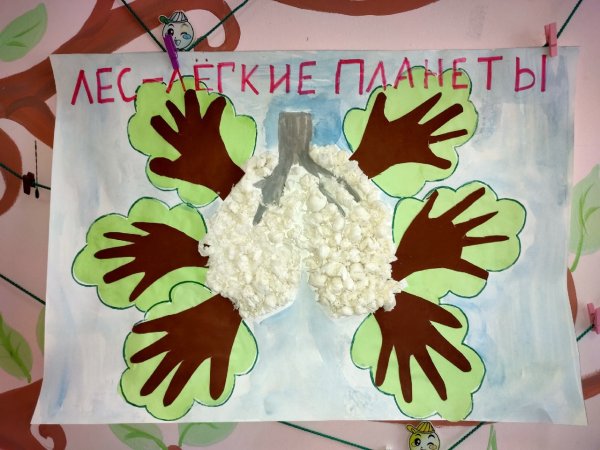 Коллективная работа берегите лес