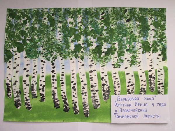 Березовая роща старшая группа