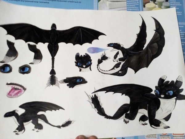 Крылья дракона ночной фурии