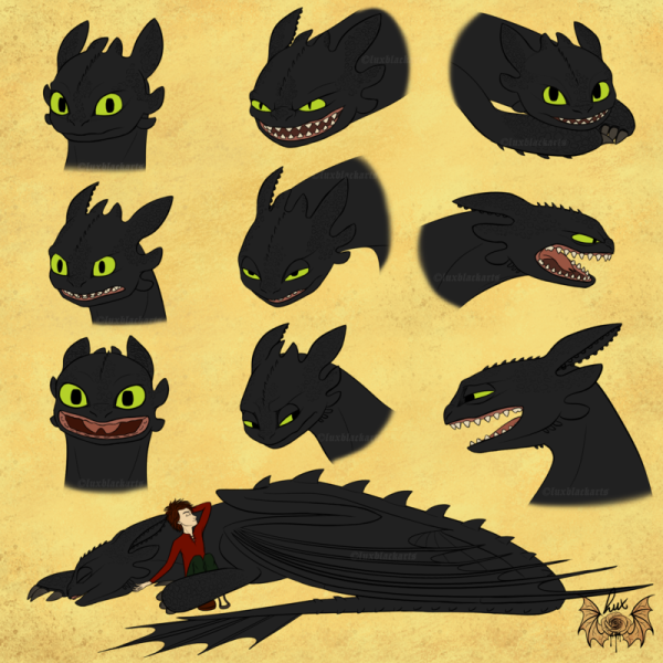 Драконы Toothless