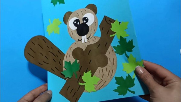 Аппликация Бобр