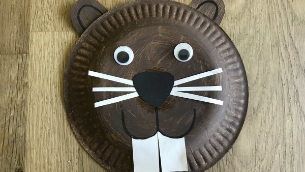 Поделки из одноразовых тарелок