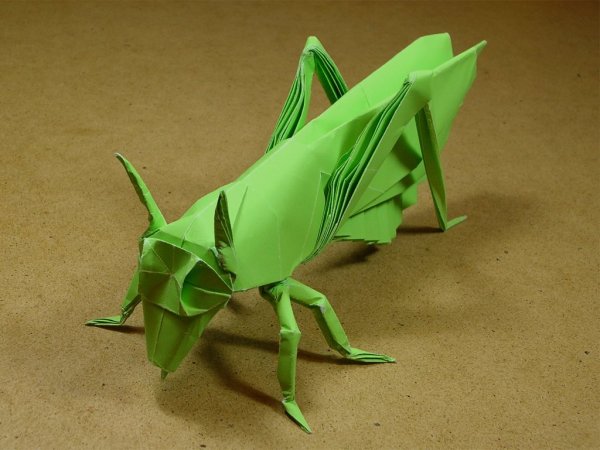 Бумагопластика насекомые