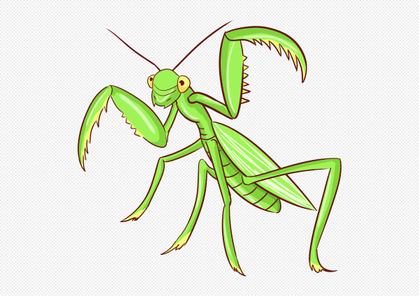 Богомол для детей