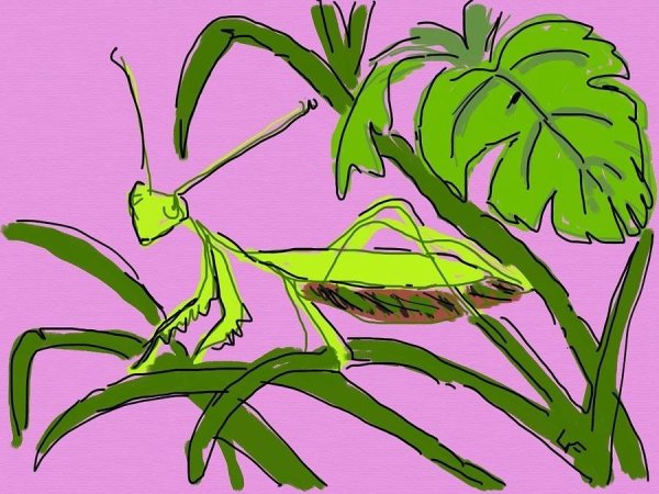 Богомол для детей