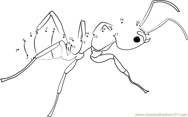 Рисование по точкам насекомые