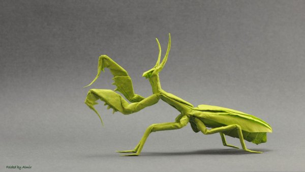 Оригами богомол
