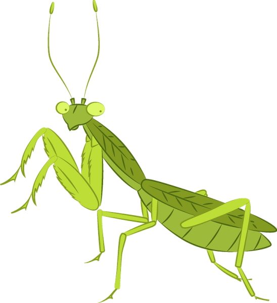 Богомол рисунок для детей