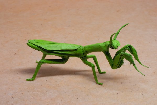 Богомол из бумаги