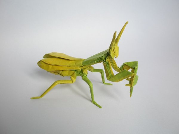 Поделка богомол