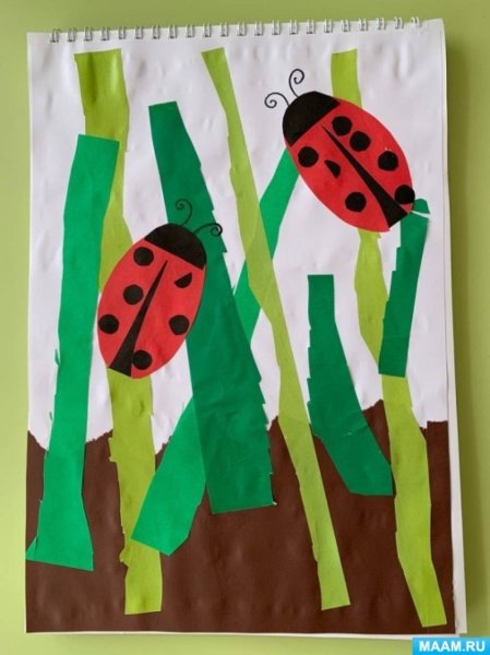 Аппликация в старшей группе