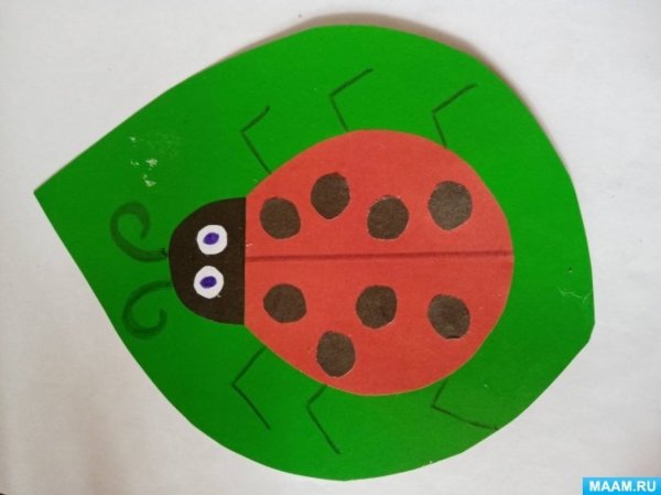 Аппликация Божья коровка в средней группе