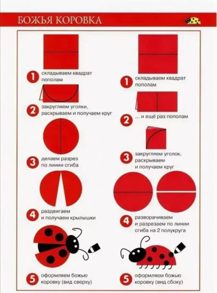 Аппликация Божья коровка старшая группа
