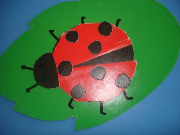 Аппликация насекомые средняя группа