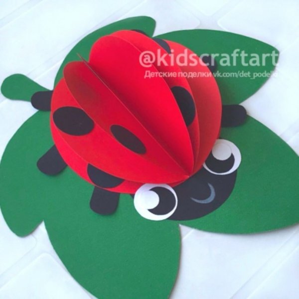 Божья коровка из бумаги на листике