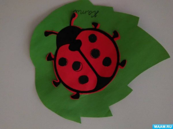 Аппликация Божья коровка старшая группа